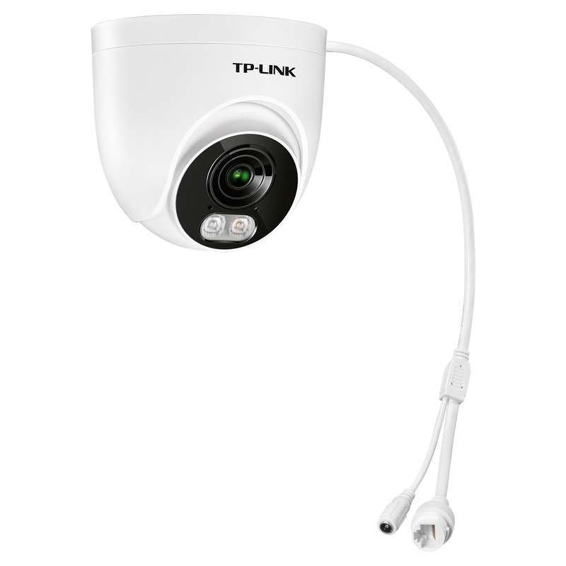 5,000,000 pixel dome dual-light vigilance network camera