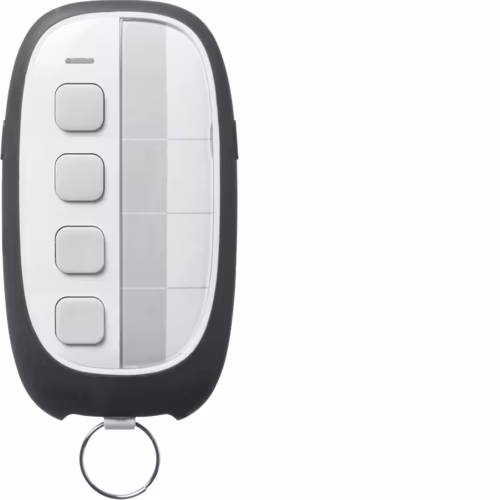 4-channel remote control